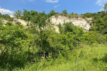 Naturkundliche Exkursion zu den Trockenrasen in der Grube in Breitenbrunn am Neusiedler See