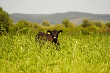 Naturerlebnistage im Bio-Landgut Esterhazy