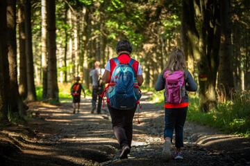 Frühlingswanderung - Auf die Füße, fertig, los!