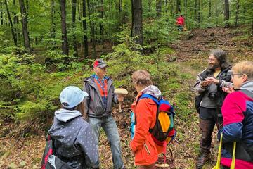 Wanderung zum Erkunden und Bestimmen von Pilzen