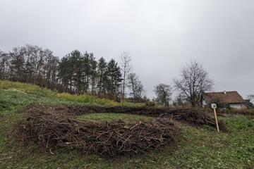 Pflegeaktion im Schaugarten