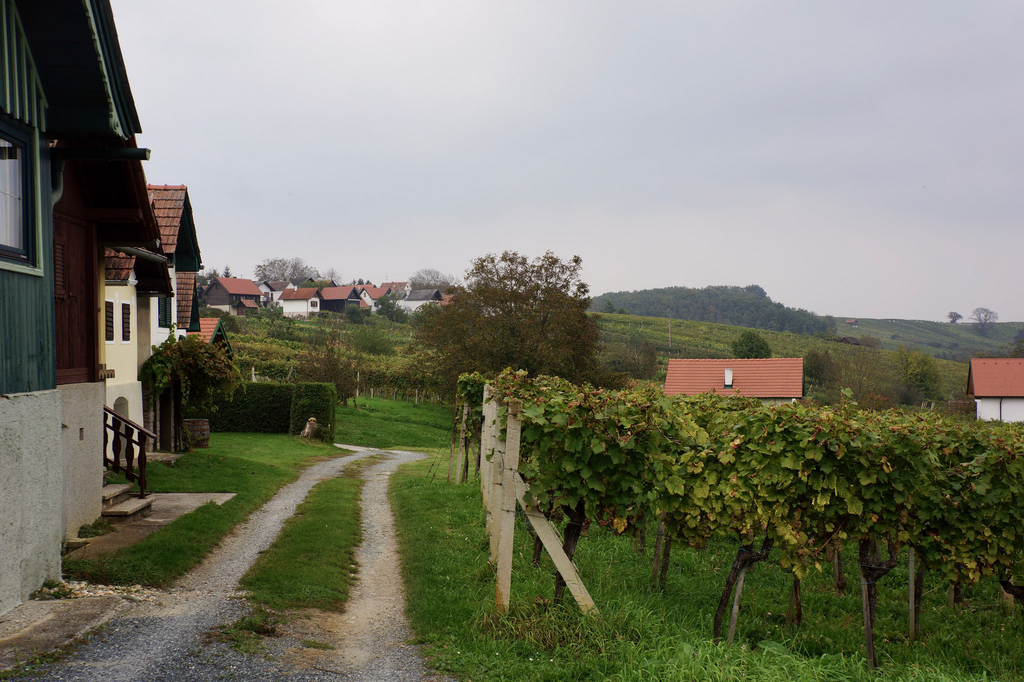 Landschafts-Spaziergang Südburgenland