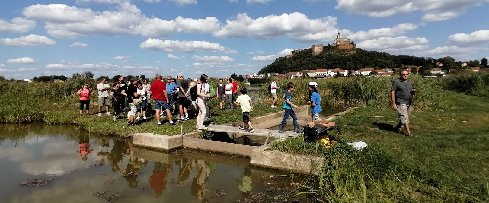 RAMSAR-Fest bei den Güssinger Teichen