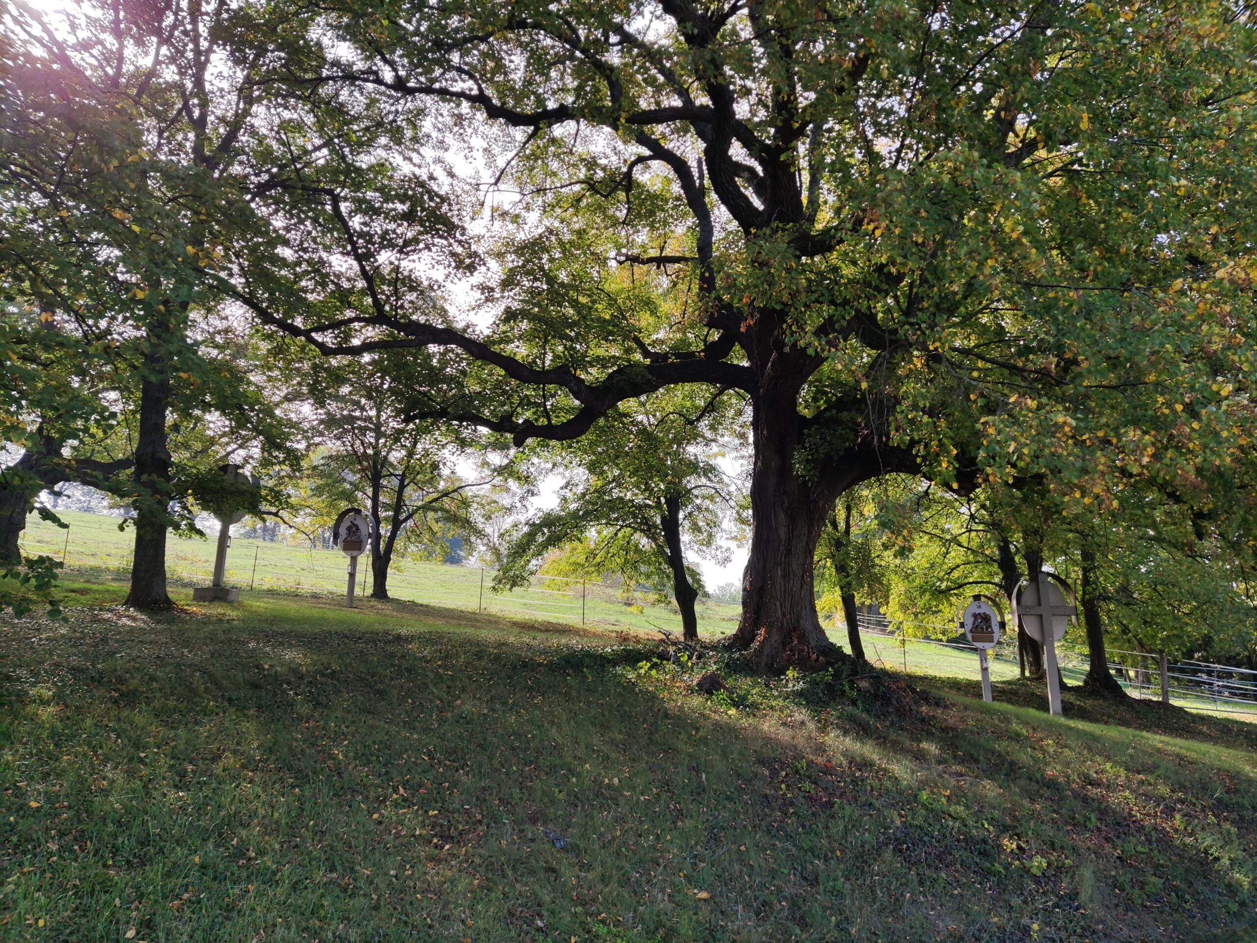 Naturspaziergang Zillingtal